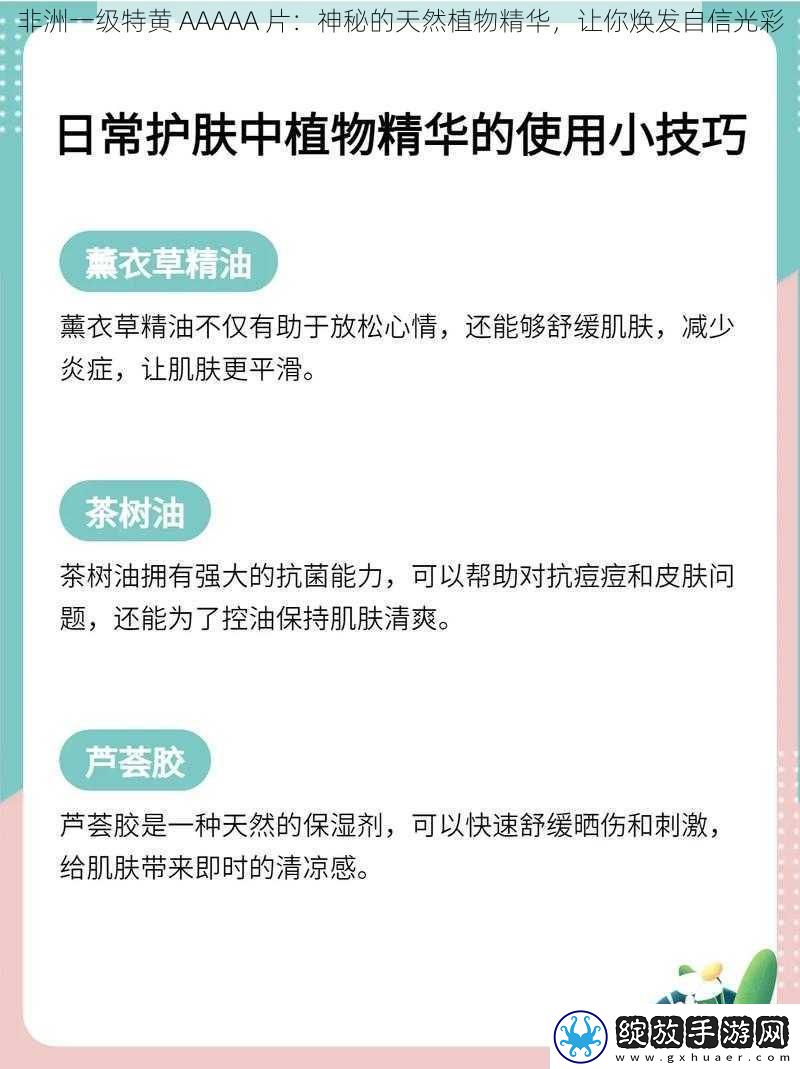 非洲一级特黄