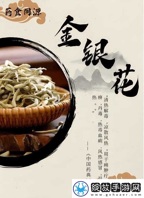 父承子液金银花原文