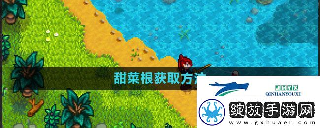 星露谷物语甜菜根如何获取
