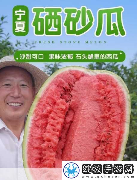 51每日必吃大瓜热门top1