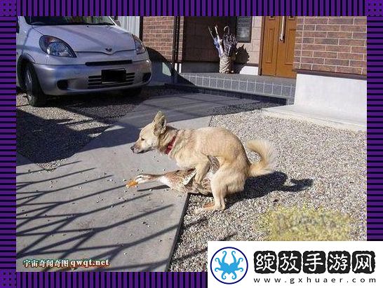 兽性逆袭