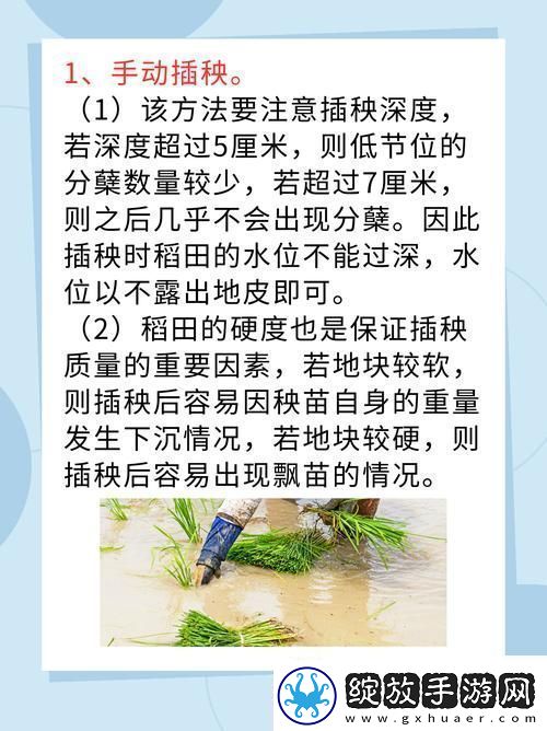 夫妻插秧38种合作方式