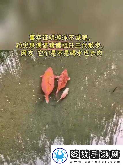 女人鲤鱼喝水