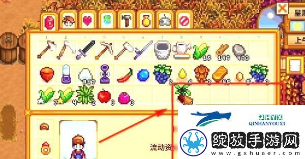 星露谷物语甜菜根如何获取