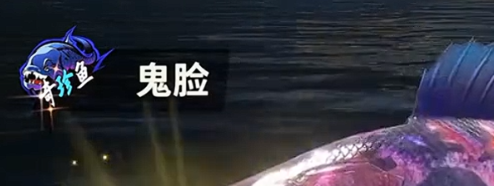 欢乐钓鱼大师什么鱼最稀有