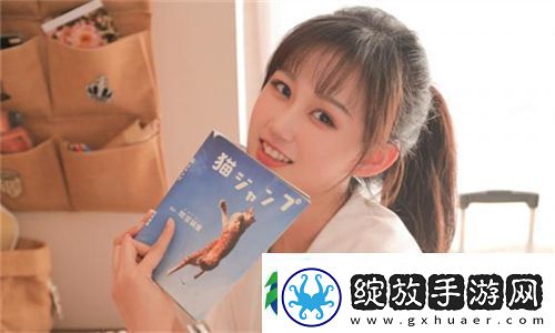 高清WINDOWS免费版观看视频更加流畅与便捷的选择