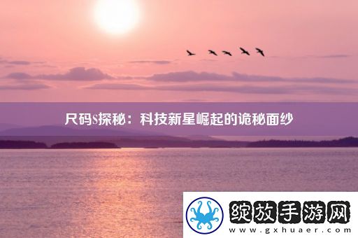 尺码S探秘