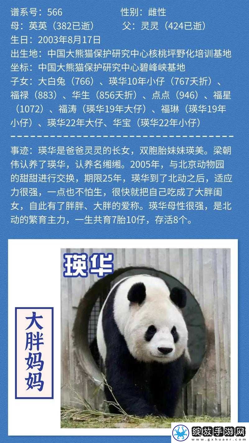 一个好胖妈妈