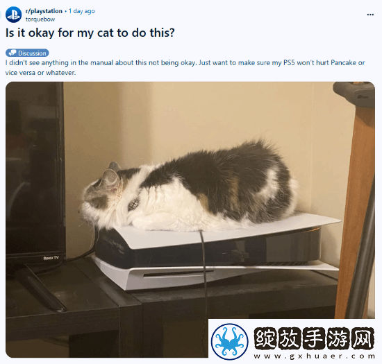 猫猫趴在PS5上不愿离开！玩家