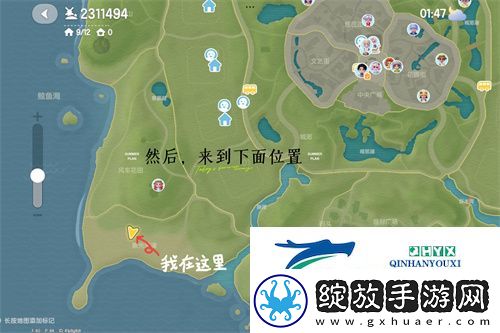 心动小镇海鸥的资料卡在哪里