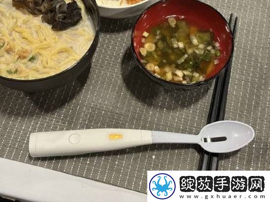 日本公司发明咸味勺子