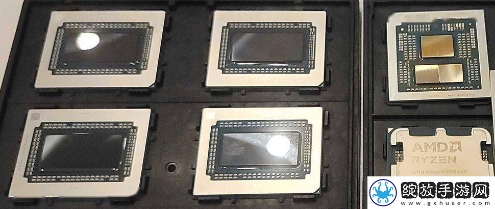 AMD