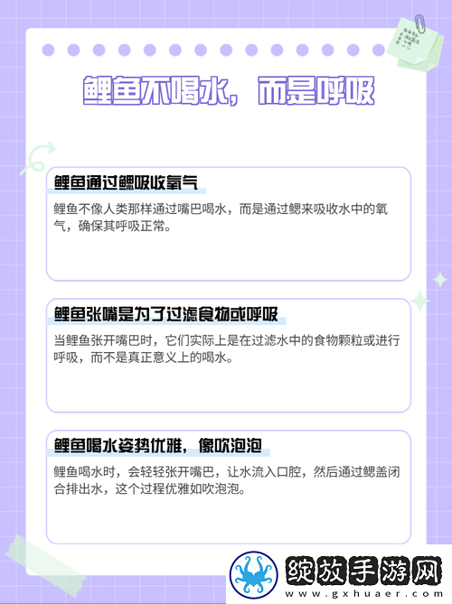 鲤鱼喝水技巧图解