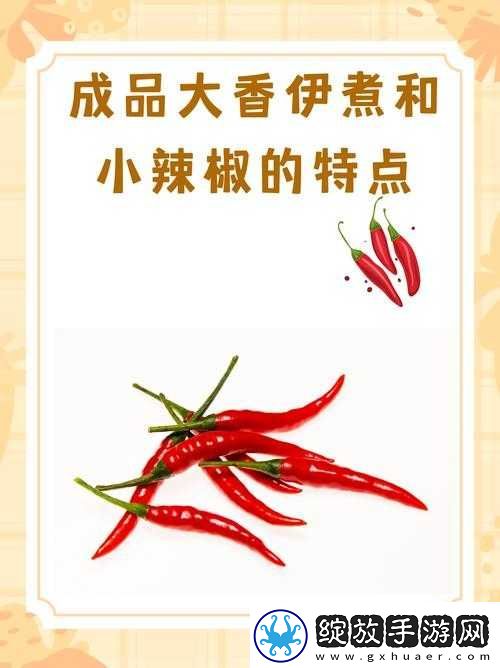 大香伊煮小辣椒成品的独特魅力与精彩呈现