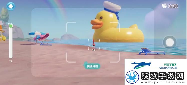 心动小镇鸟类在哪里出现