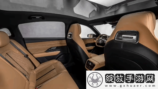 挑战特斯拉Model