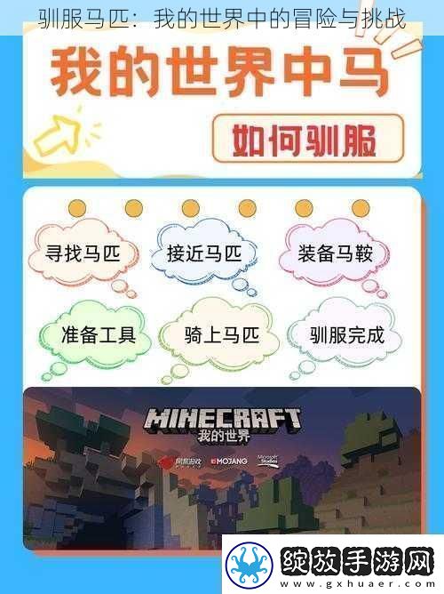 驯服马匹
