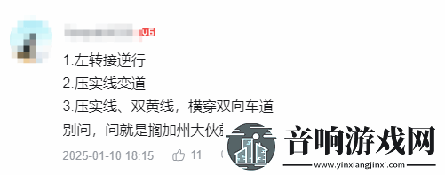 陈震测试特斯拉FSD
