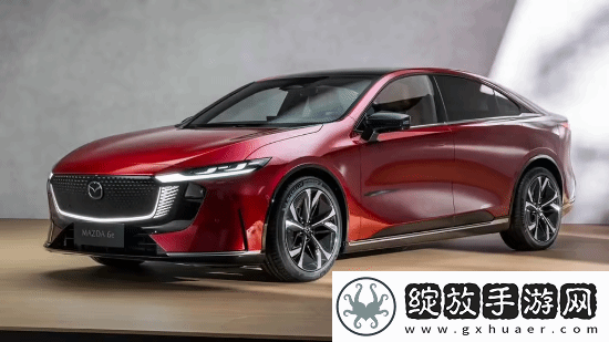 挑战特斯拉Model