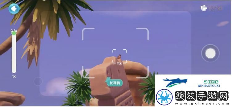 心动小镇鸟类在哪里出现