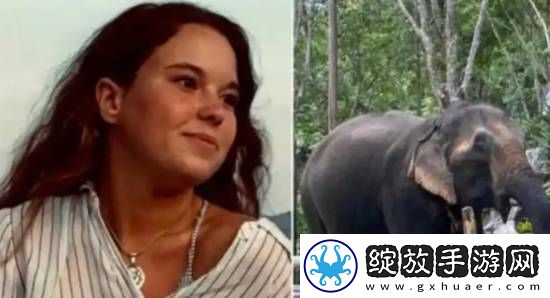 游客在泰国与大象互动意外身亡