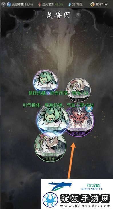 一念逍遥灵宠怎么达到珍品