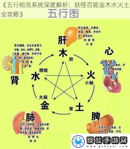 五行相克系统深度解析