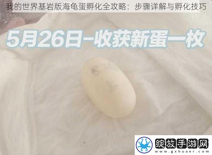 我的世界基岩版海龟蛋孵化全攻略