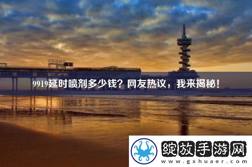 9919延时喷剂多少钱