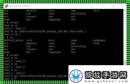 超级密码telnet探秘