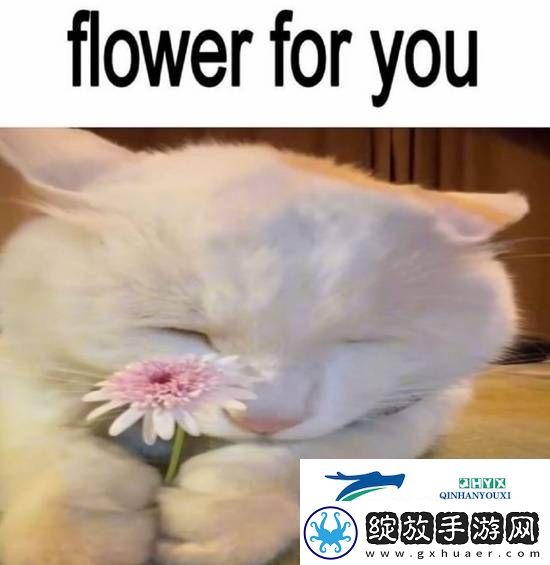 男女关系已经发展成这样了