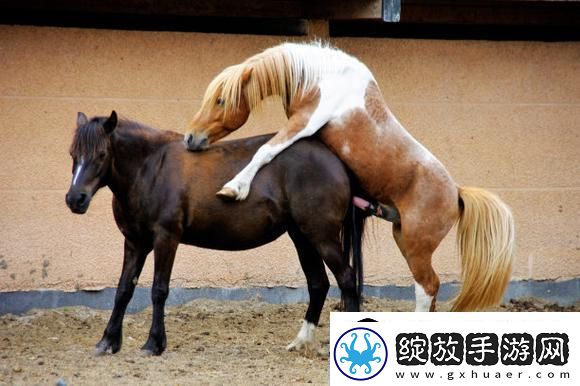 突破极限