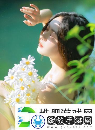 法国满天星八尺夫人菲律宾