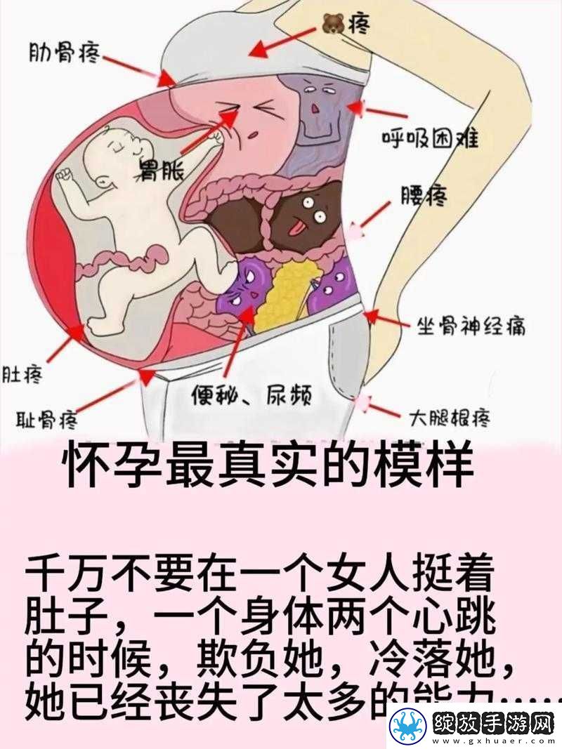 在WWW孕妇的世界里