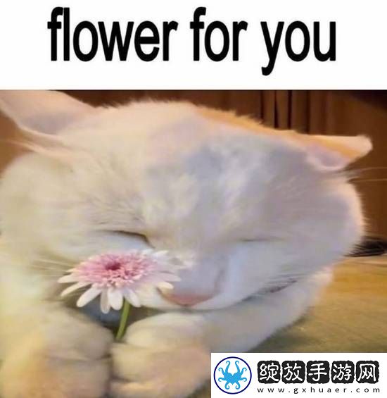 男女关系已经发展成这样了