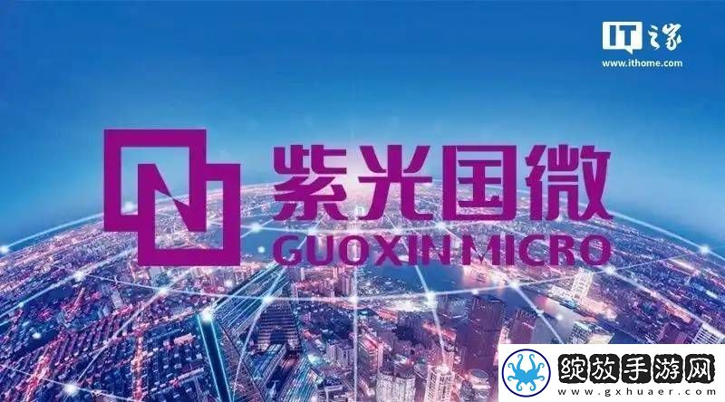 紫光国微2024年业绩下滑
