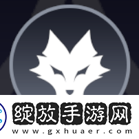 秘密任务揭秘之旅