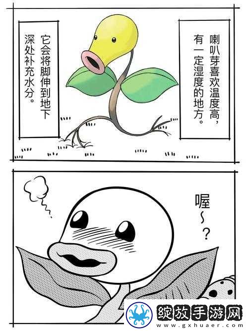 探索宝可梦世界的奇妙生物