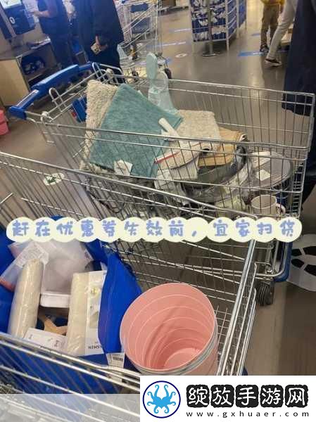 小扫货水能么多公交车小扫货的公交车探索之旅
