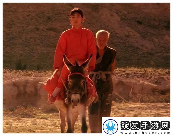 小毛驴影视在线观看