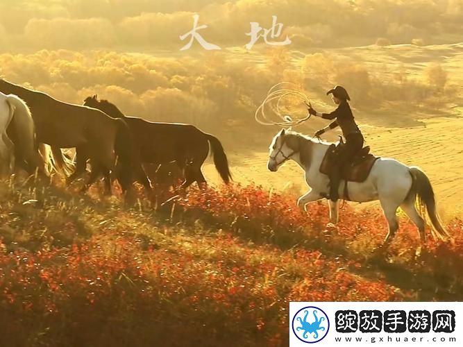 大地视频在线观看免费高清网友