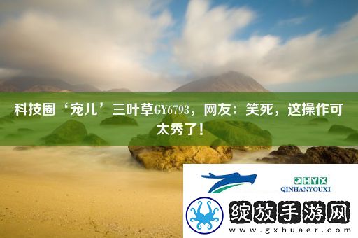科技圈‘宠儿’三叶草GY6793