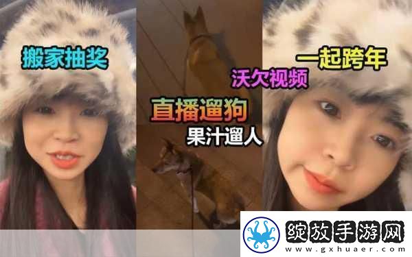 看B站直播间户外