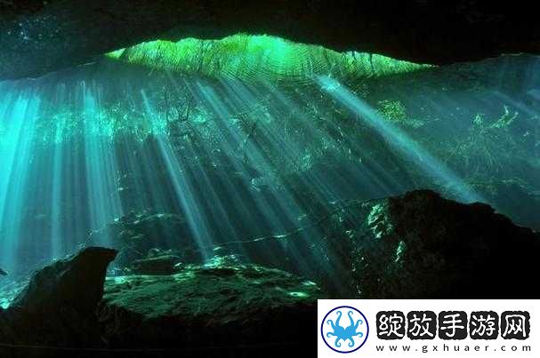 www.8x8伊甸园