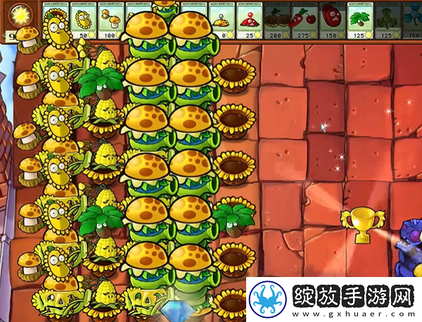 植物大战僵尸杂交版汉堡王2怎么过