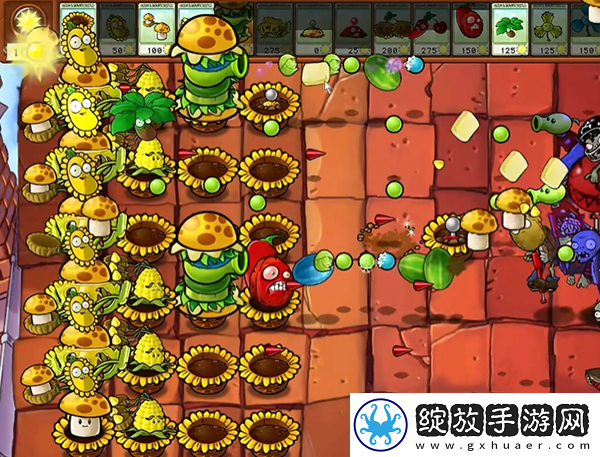 植物大战僵尸杂交版汉堡王2怎么过