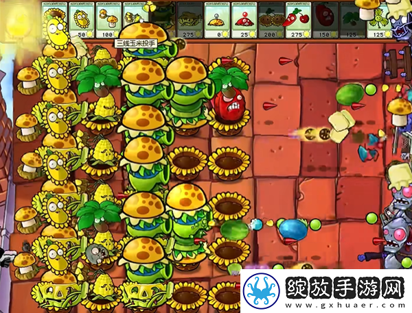 植物大战僵尸杂交版汉堡王2怎么过