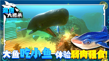 大航海时代持续了多少年时间