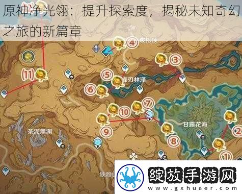 原神净光翎