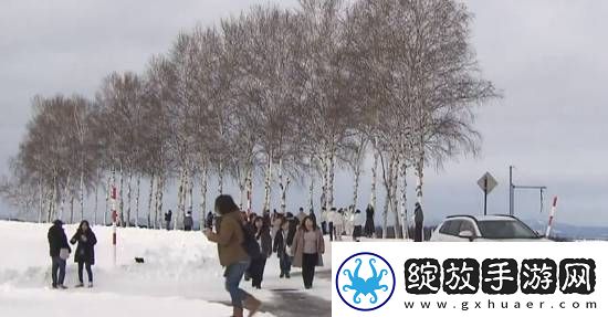 够狠！日本北海道阻无良游客未果直接将景点砍掉
